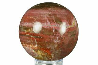 Colorful Petrified Wood (Araucaria) Sphere - Madagascar #286141