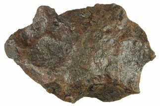 Canyon Diablo Iron Meteorite ( g) - Arizona #287637