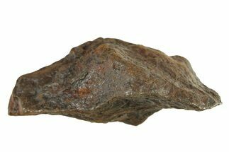 Canyon Diablo Iron Meteorite ( g) - Arizona #287642