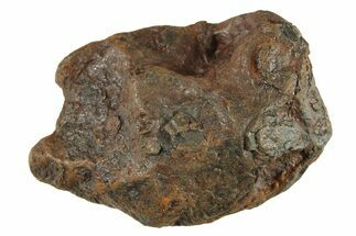 Canyon Diablo Iron Meteorite ( g) - Arizona #287646