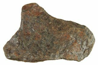 Canyon Diablo Iron Meteorite ( g) - Arizona #287659