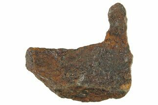 Canyon Diablo Iron Meteorite ( g) - Arizona #287664