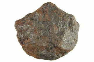 Canyon Diablo Iron Meteorite ( g) - Arizona #287679