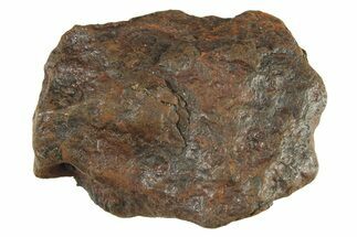 Canyon Diablo Iron Meteorite ( g) - Arizona #287686