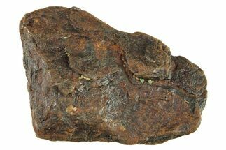 Canyon Diablo Iron Meteorite ( g) - Arizona #287693