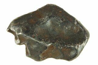 Fusion Crusted Sikhote-Alin Iron Meteorite ( g) - Russia #287875
