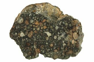 Chondrite Meteorite Section ( g) - NWA #287889