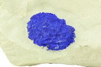 Vibrant Blue Azurite Sun on Siltstone - Australia #287965