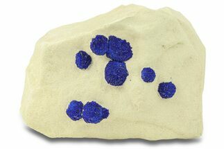 Vibrant Blue Azurite Suns on Siltstone - Australia #287970