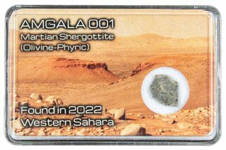 Martian Shergottite Meteorite Slice - Amgala #288256