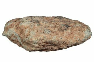 Lunar Meteorite ( g) - Bechar #288506