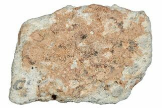 Lunar Meteorite ( g) - Bechar #288511