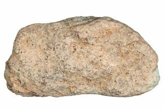 Lunar Meteorite ( g) - Bechar #288518