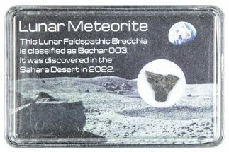 Polished Lunar Meteorite Slice ( g) - Bechar #288388
