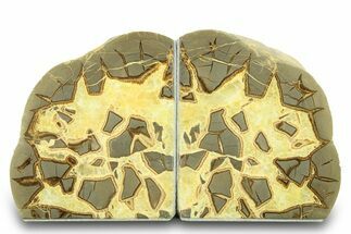 Beautiful Septarian Bookends - Utah #288947