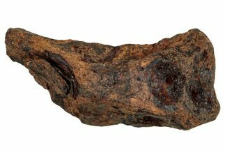 Agoudal Iron Meteorite ( g) - Morocco #288895