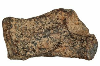 Agoudal Iron Meteorite ( g) - Morocco #288900