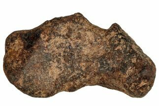 Agoudal Iron Meteorite ( g) - Morocco #288907