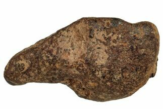 Agoudal Iron Meteorite ( g) - Morocco #288926