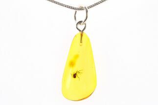 Polished Baltic Amber Pendant (Necklace) - Contains Partial Fly! #288762