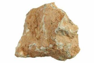 Lunar Meteorite ( g) - Bechar #288478