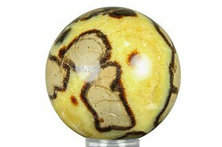 Polished Septarian Sphere - Madagascar #289930