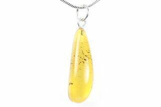 Polished Baltic Amber Pendant (Necklace) - Cockroach Nymph! #288822