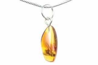 Polished Baltic Amber Pendant (Necklace) - Contains Fly! #288830