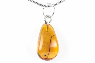 Polished Baltic Amber Pendant (Necklace) - Contains Mite! #288831