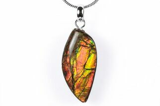 Brilliant Ammolite Pendant (Necklace) - Alberta, Canada #290112