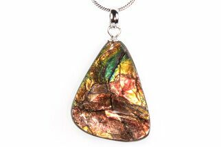 Brilliant Ammolite Pendant (Necklace) - Alberta, Canada #290114