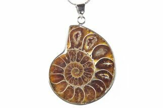 Fossil Ammonite Pendant - Million Years Old #290148