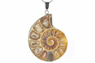 Fossil Ammonite Pendant - Million Years Old #290155