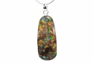 Brilliant Ammolite Pendant (Necklace) - Alberta, Canada #290142