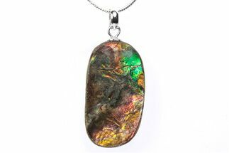 Brilliant Ammolite Pendant (Necklace) - Alberta, Canada #290143