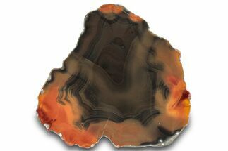 Colorful, Polished Condor Agate - Argentina #290913