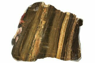 Polished Packsaddle Tiger Eye Slab - Western Australia #290950