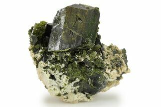 Lustrous Epidote Crystals on Actinolite - Pakistan #290472