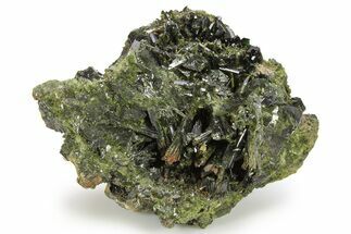 Lustrous Epidote Crystals with Actinolite - Pakistan #290483