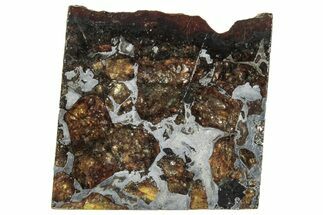 Brahin Pallasite Meteorite ( g) Slice - Belarus #291291