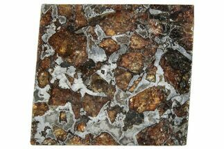 Brahin Pallasite Meteorite ( g) Slice - Belarus #291293