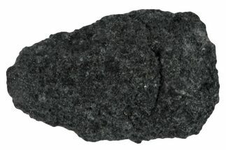 Carbonaceous Chondrite Meteorite Fragment ( g) - NWA #291369