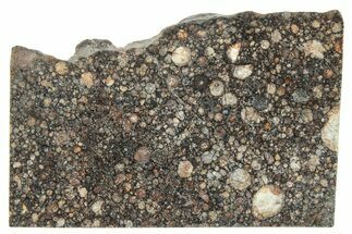 LL Chondrite Meteorite ( g) Slice - NWA #291383