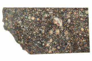 LL Chondrite Meteorite ( g) Slice - NWA #291396