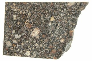 LL Chondrite Meteorite ( g) Slice - NWA #291399