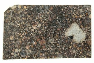 LL Chondrite Meteorite ( g) Slice - NWA #291403