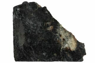 Polished, Starry Night Lunar Meteorite Slice ( g) - NWA #291421