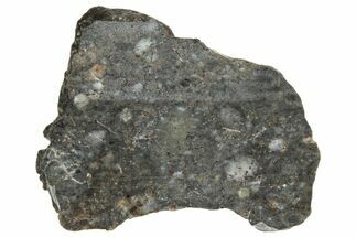 Lunar Meteorite ( g) Slice - Laayoune #291628