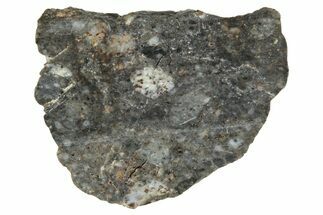 Lunar Meteorite ( g) Slice - Laayoune #291629