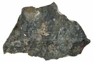 Lunar Meteorite ( g) Slice - Laayoune #291648